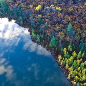 Meet your Posher, Dominique